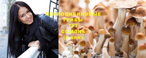 mix Козельск