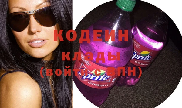 шишки Козловка