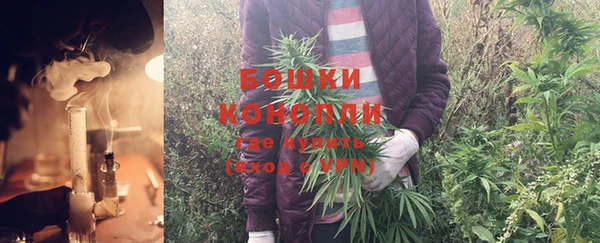 шишки Козловка