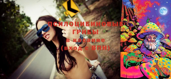шишки Козловка