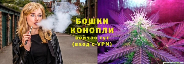 mix Козельск
