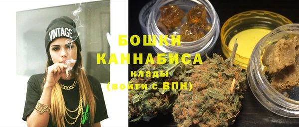 шишки Козловка
