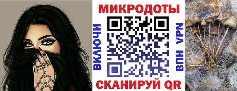 Купить закладки  Воткинск  Псилоцибиновые грибы мицелий 